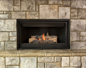 Fireplace Insert - Elkton MD - Ace Chimney Sweeps